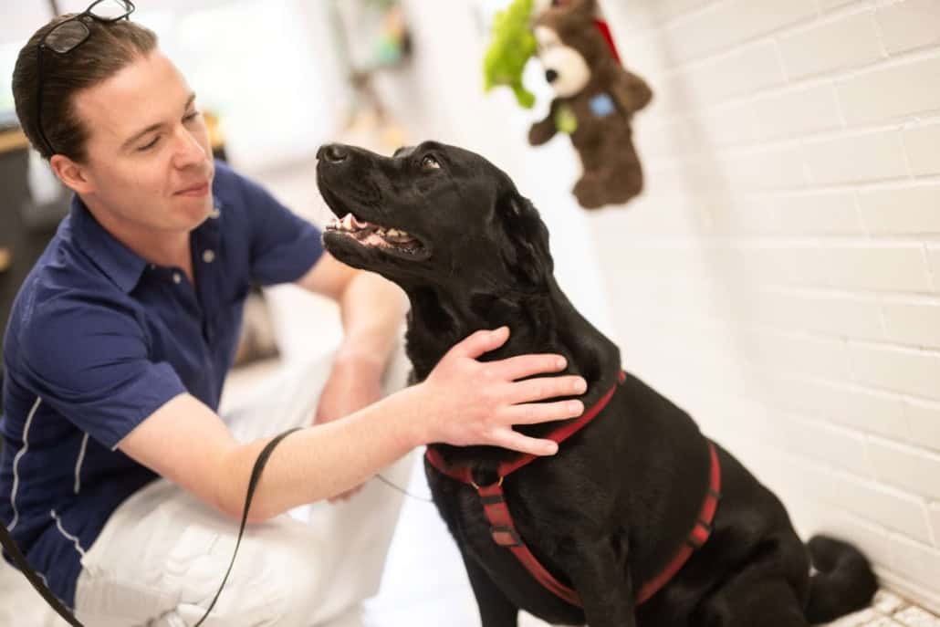 Hvor kan du finde en akut dyrlæge?